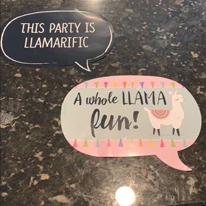 Llama party decorations